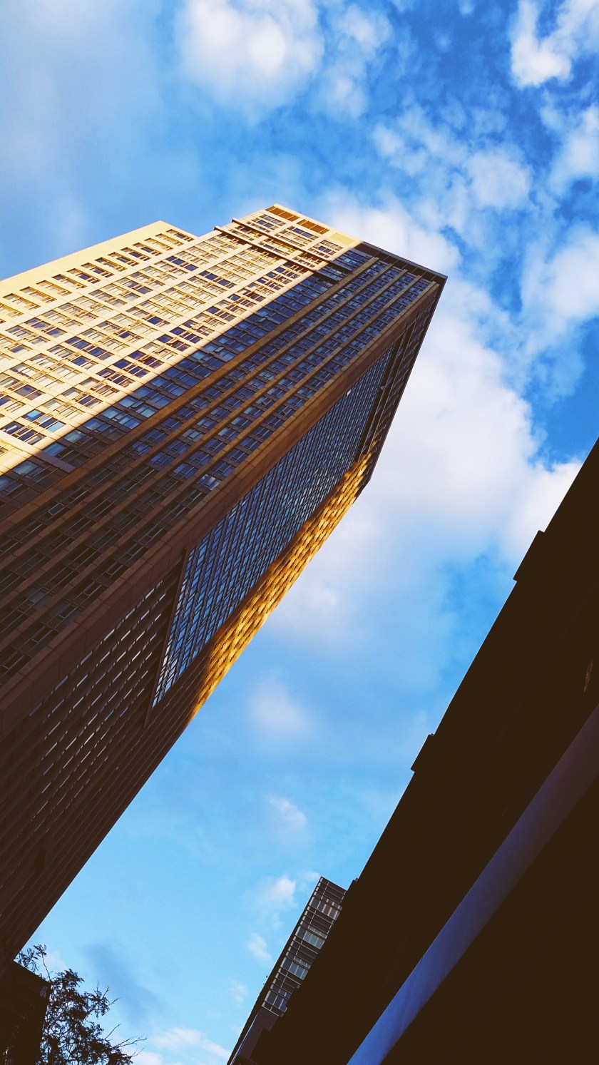 photography, Toronto, Toronto photography, #ElanaCamilleCreates, Élana Camille, Elana Camille